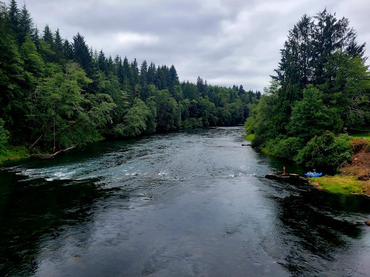 Quinault River