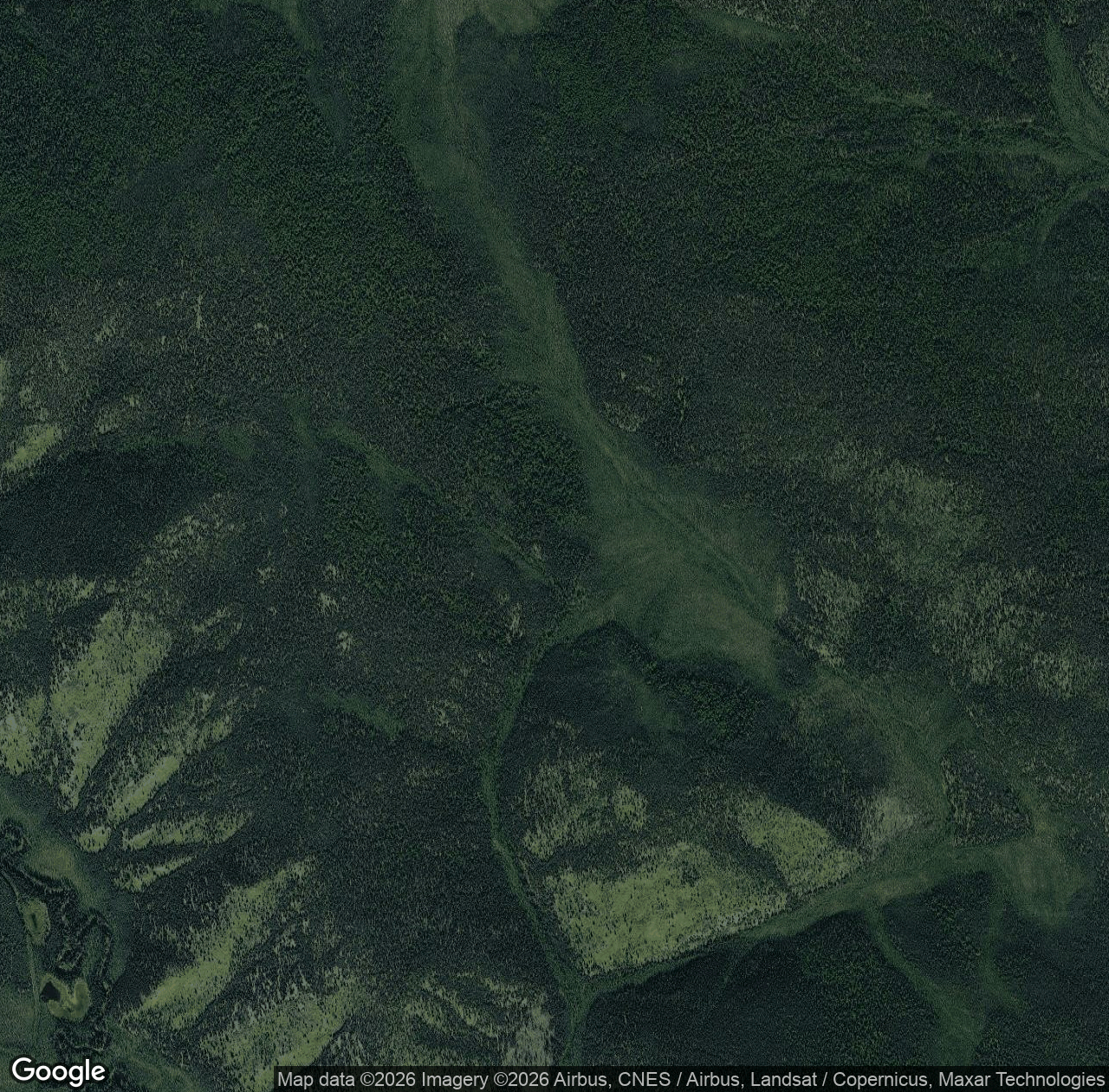 Tanana River