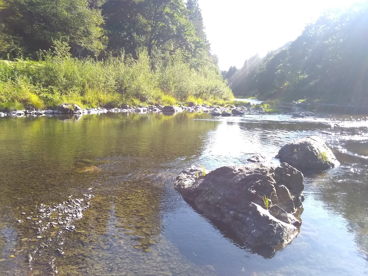 Trask River