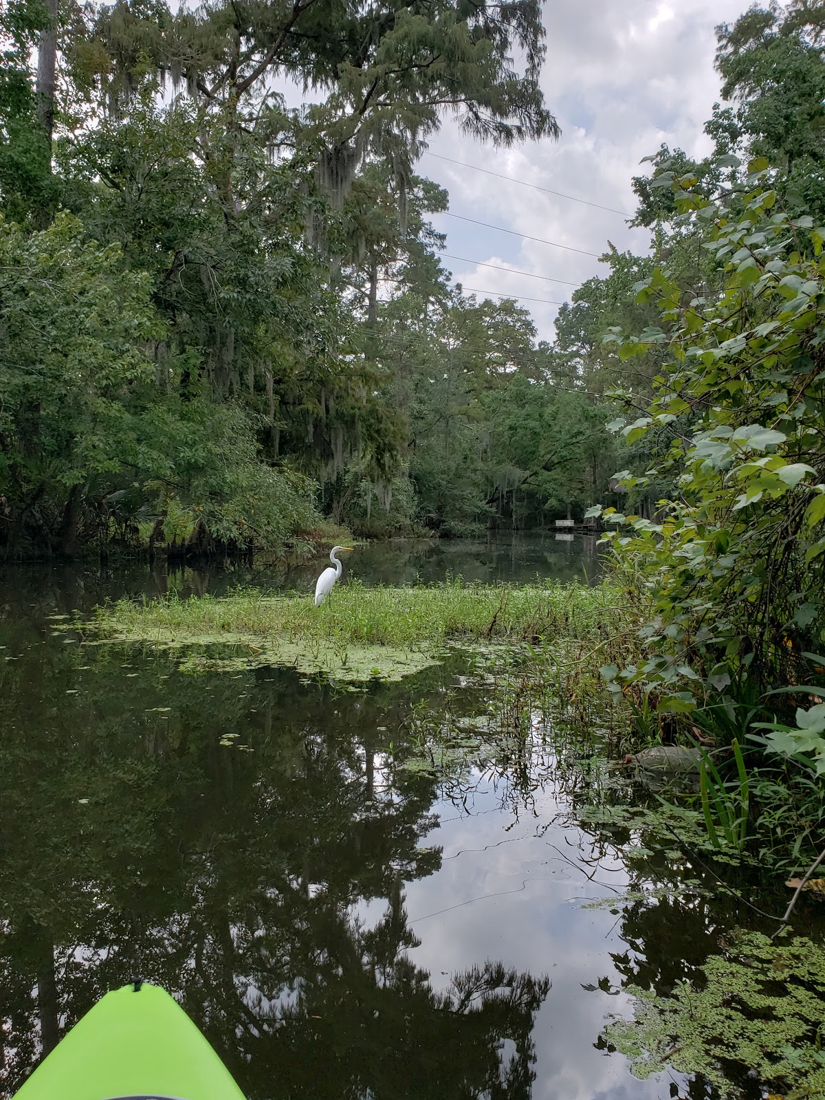 Bayou Bonfouca