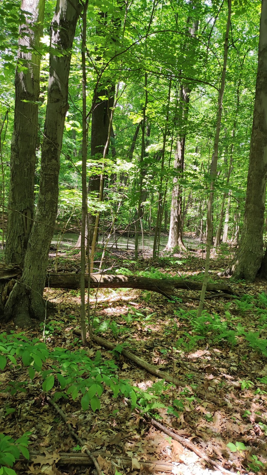Holliday Nature Preserve