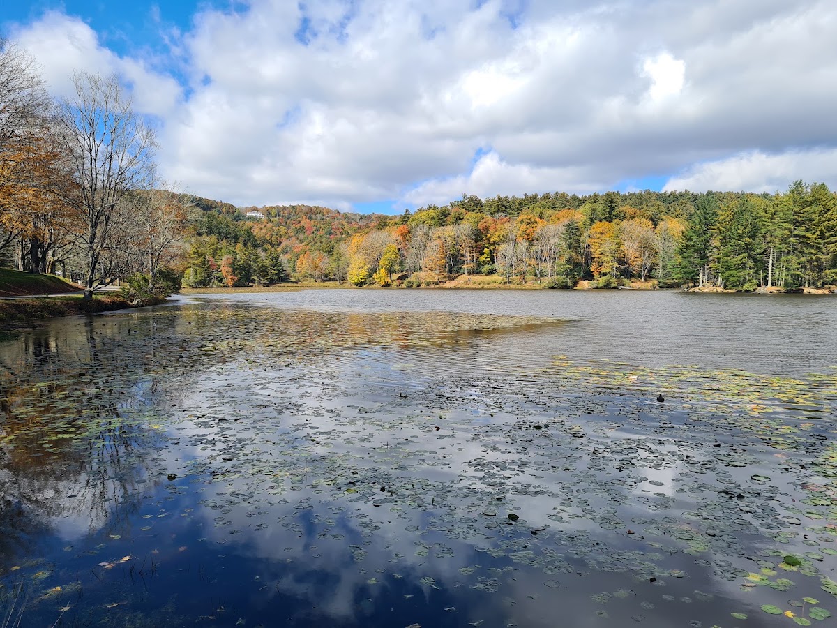 Bass Lake