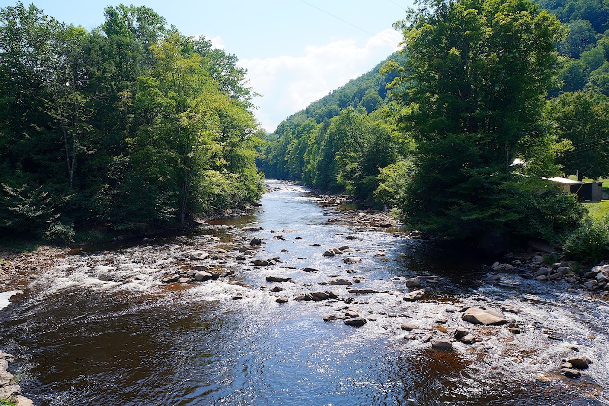 Shavers Fork