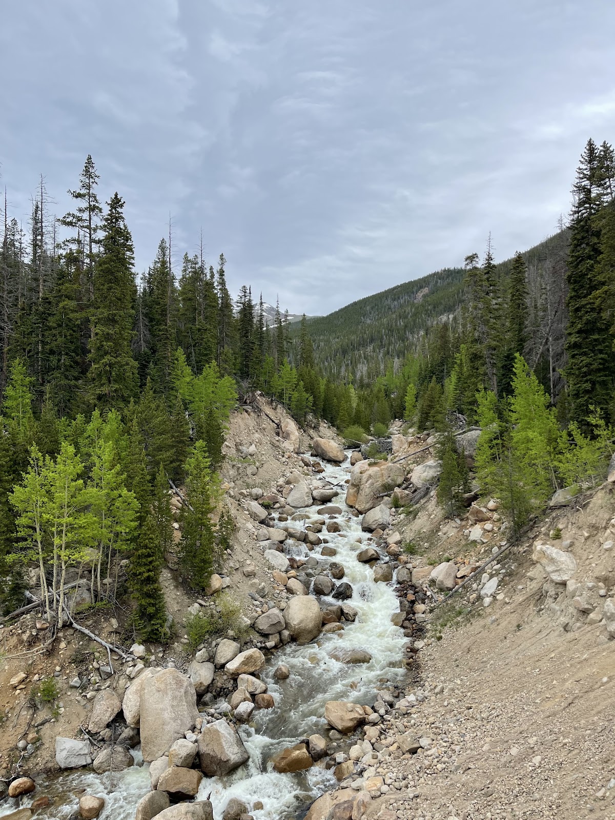 Lawn Lake Trail