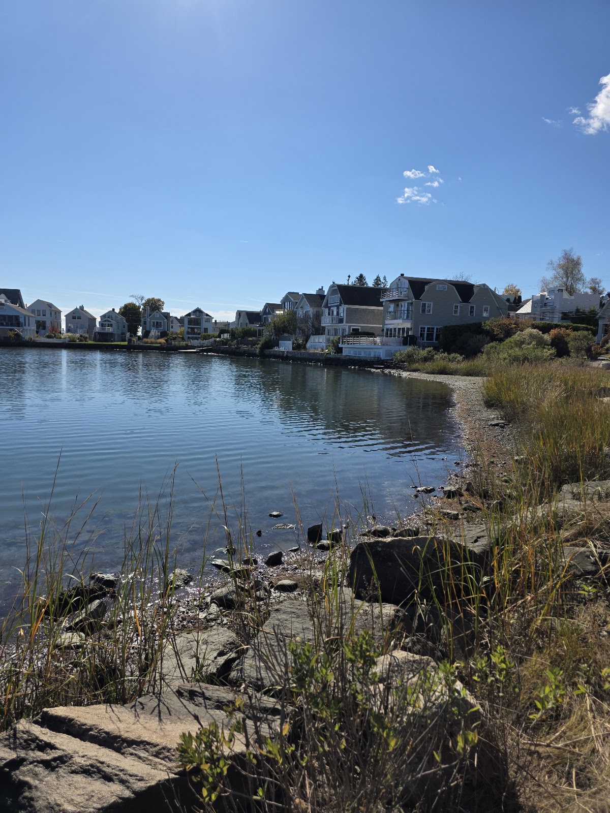 Sherwood Millpond