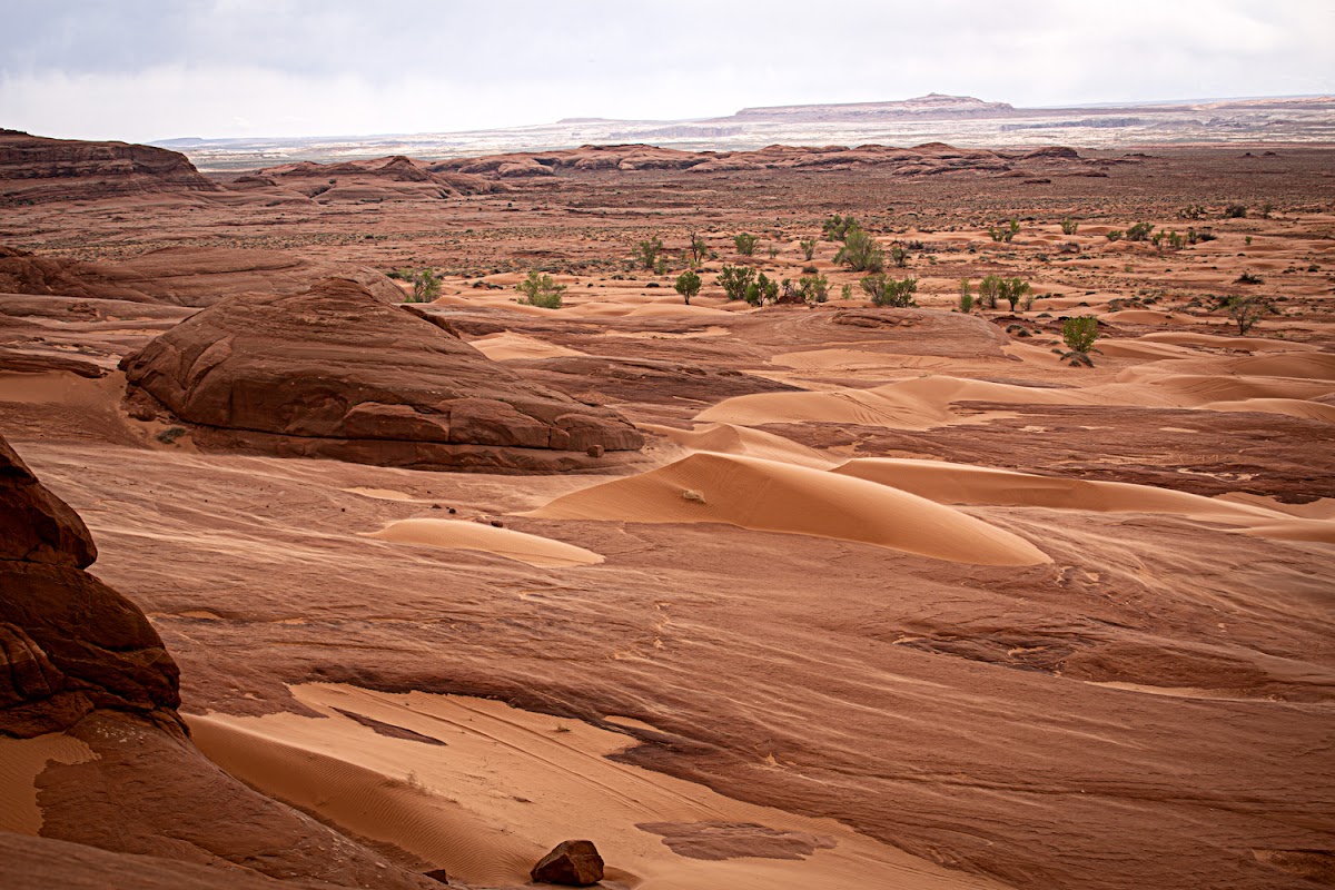 White Wash Sand Dunes OHV Area