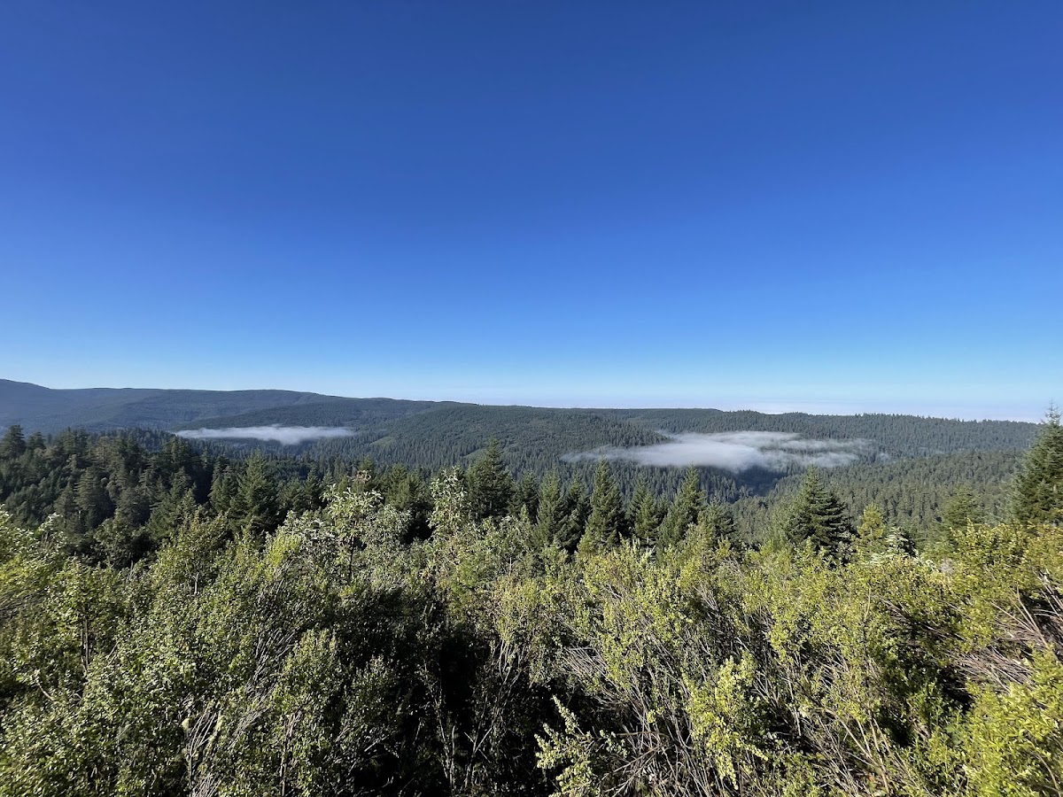 Redwood Creek Overlook