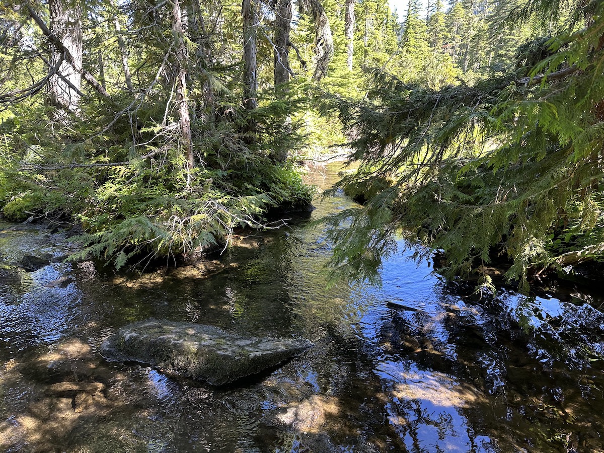 Crater Creek