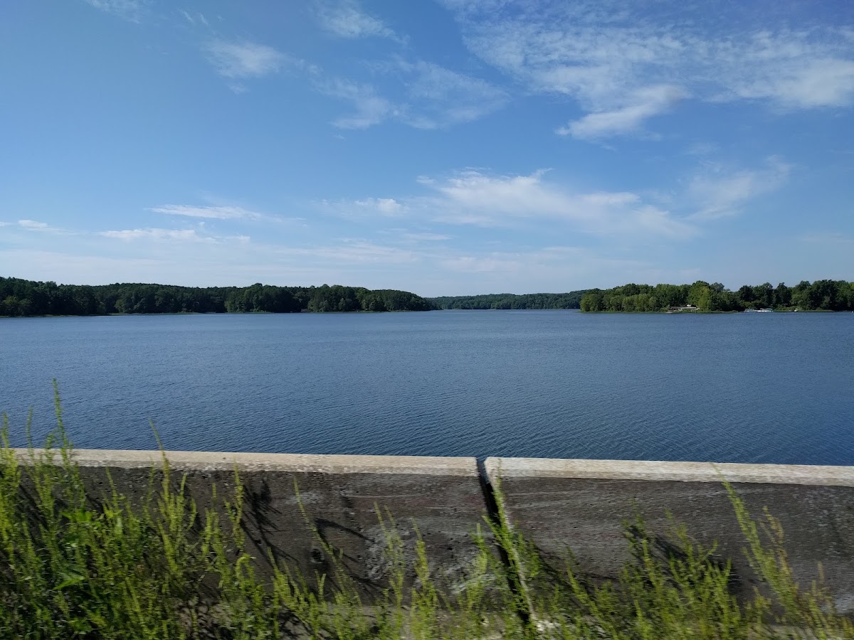 Little Grassy Lake