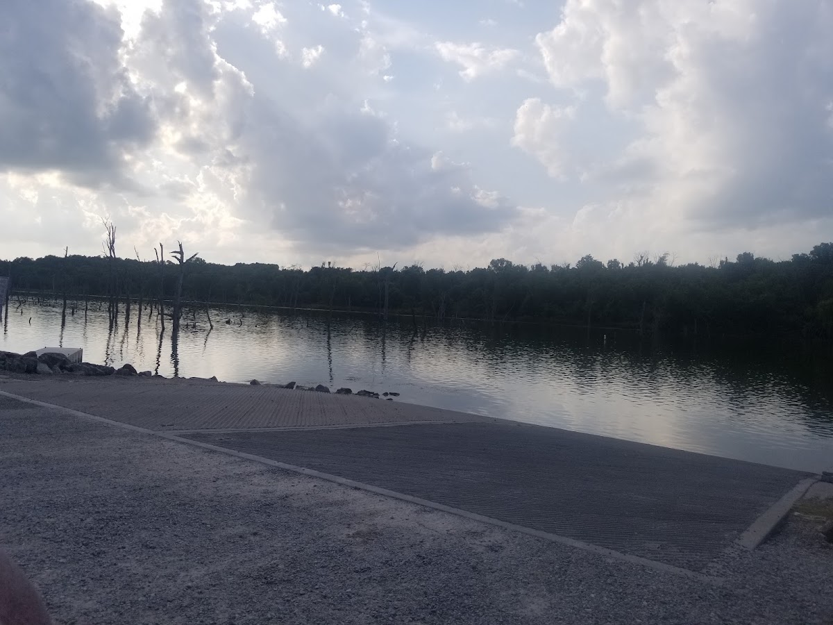 Lake Belva Deer