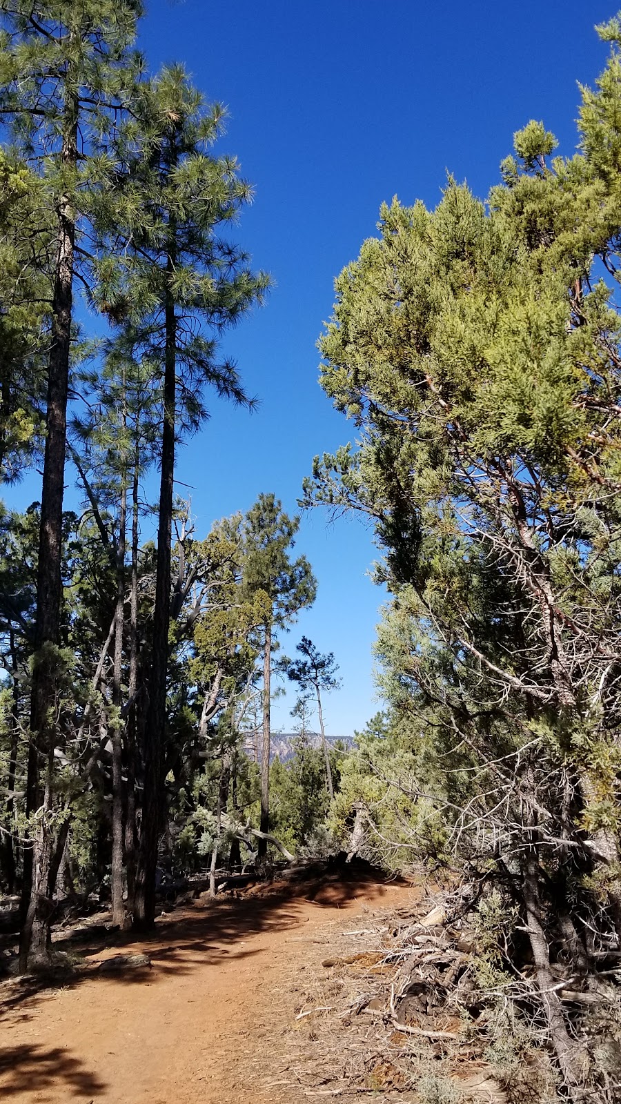 Highline Trail #31