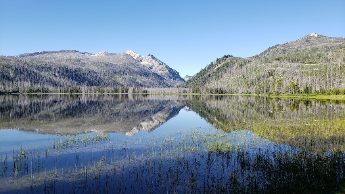 Loon Creek/Loon Lake
