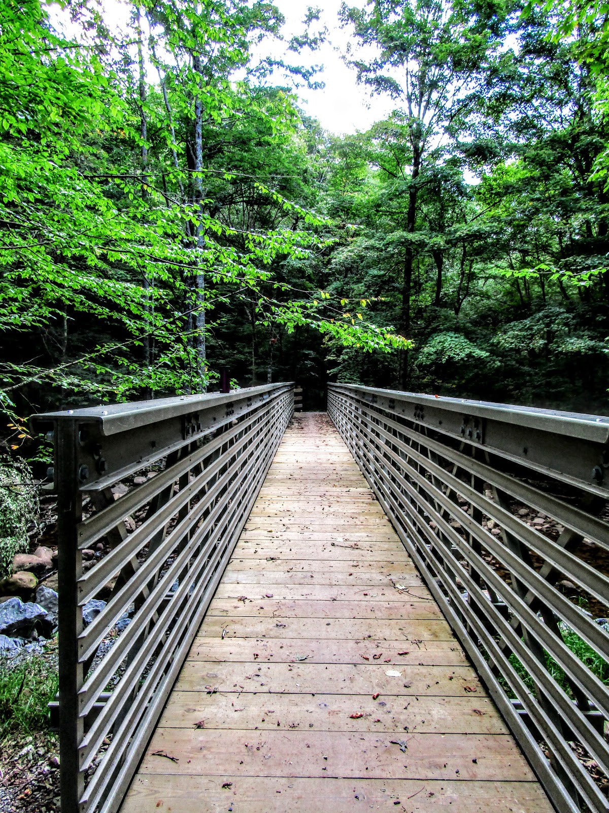 Tea Creek