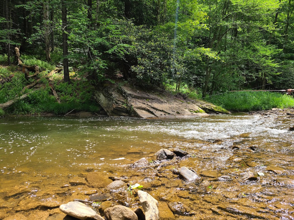 Gandy Creek