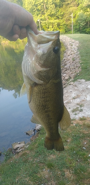 Big Turnbull Creek