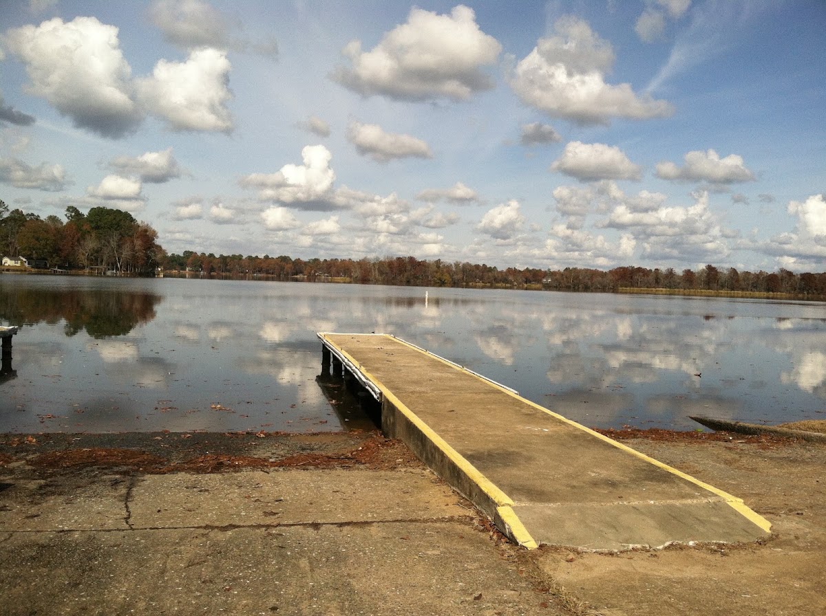 Lake Blackshear