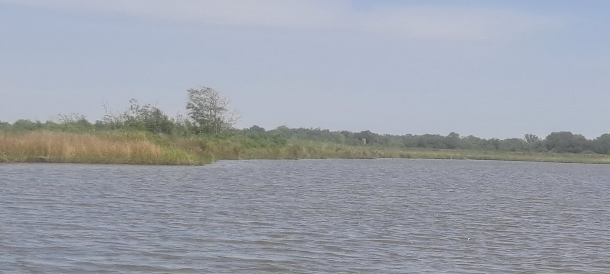 Bay Lanaux