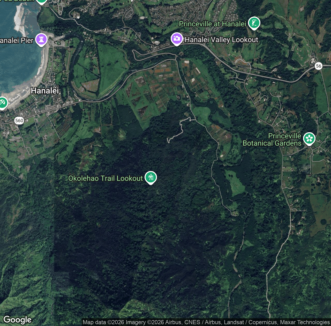 'Åkolehao Trail