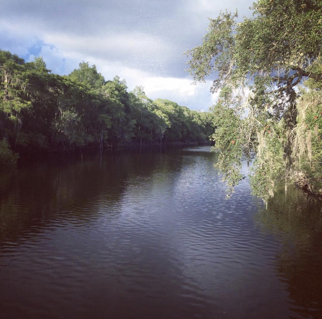 Satilla River