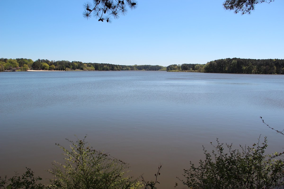 Lake Acworth