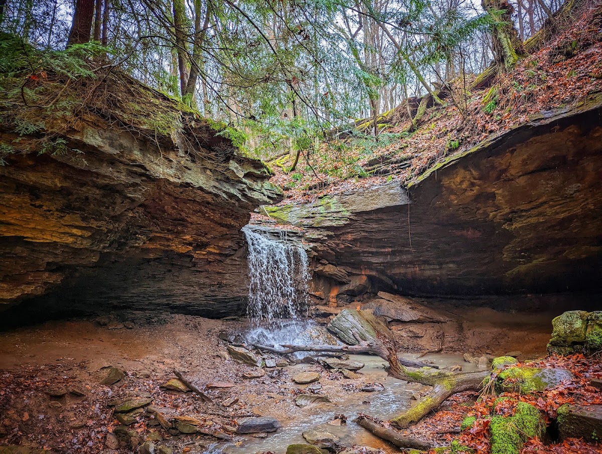 Raccoon Creek