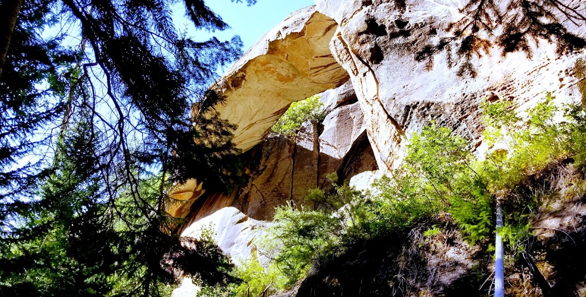 Bachelor Basin Trail