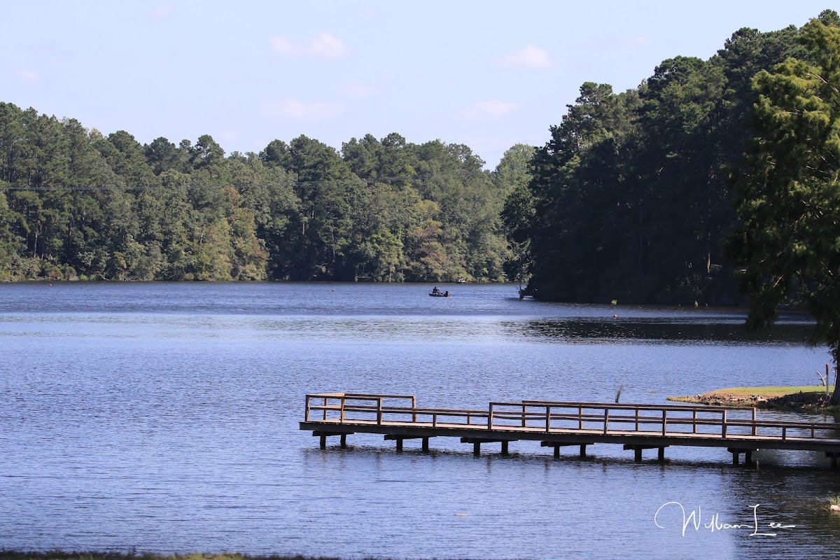 Simpson County Lake