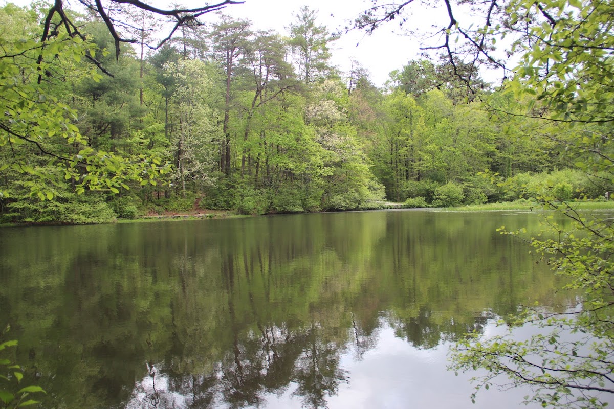 Dockery Lake
