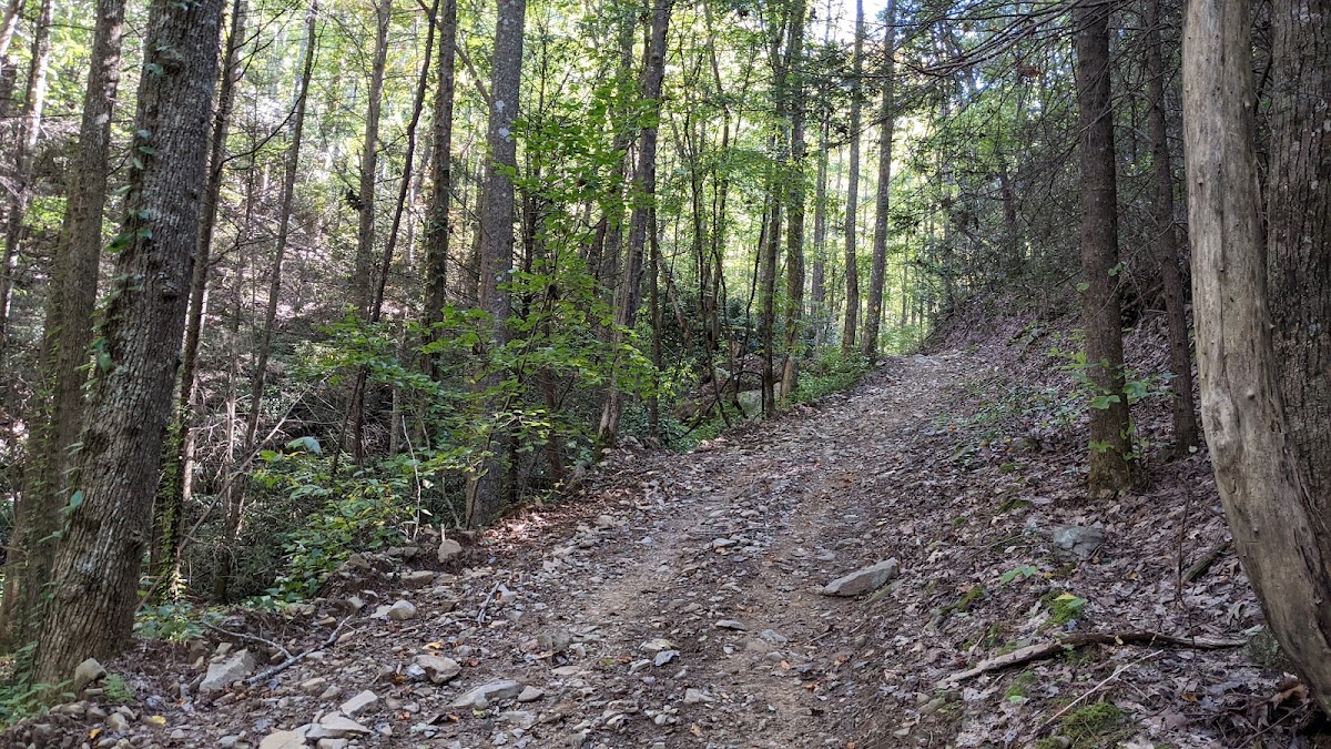 Rock Creek