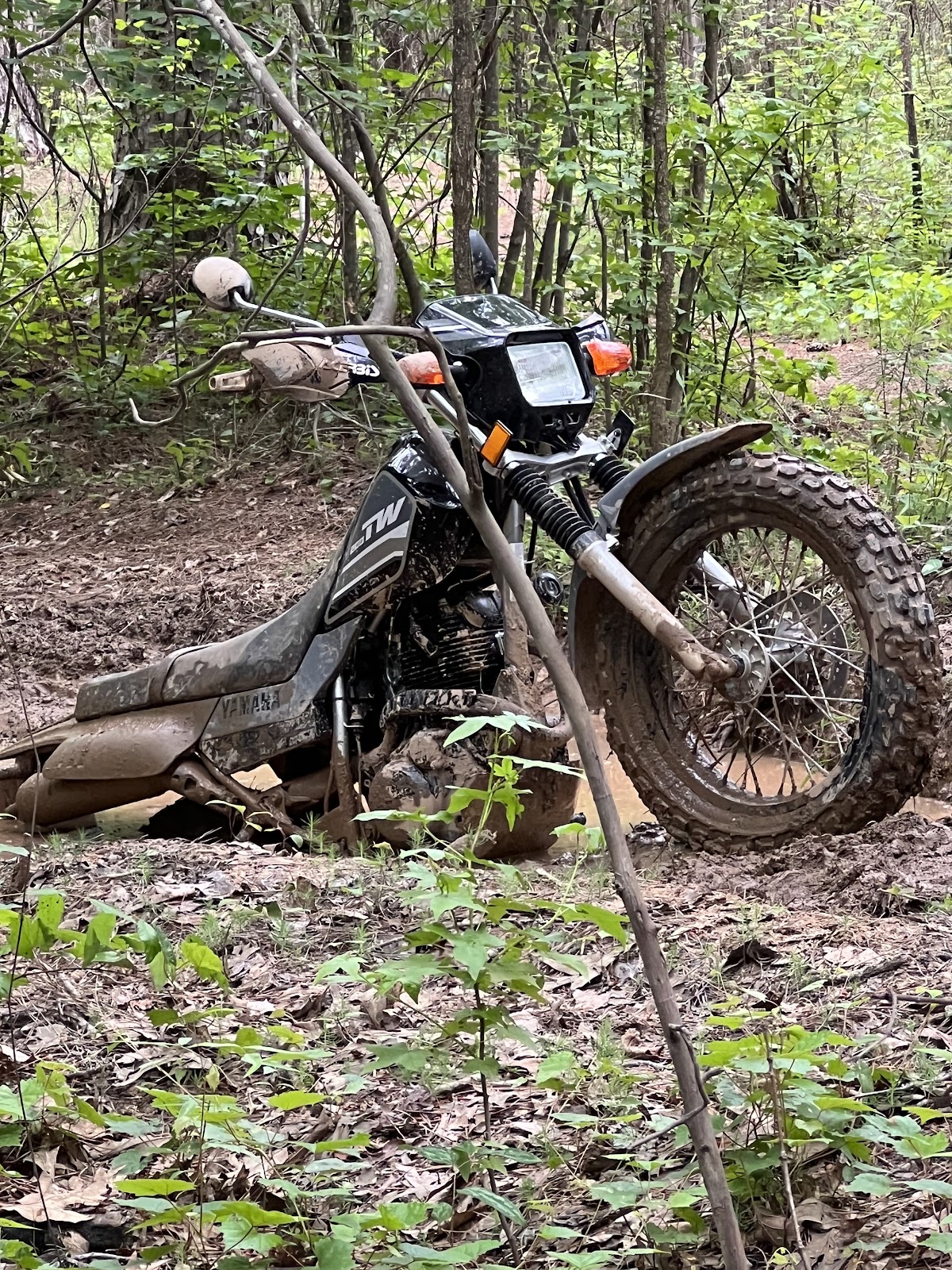 Town Creek Loop A