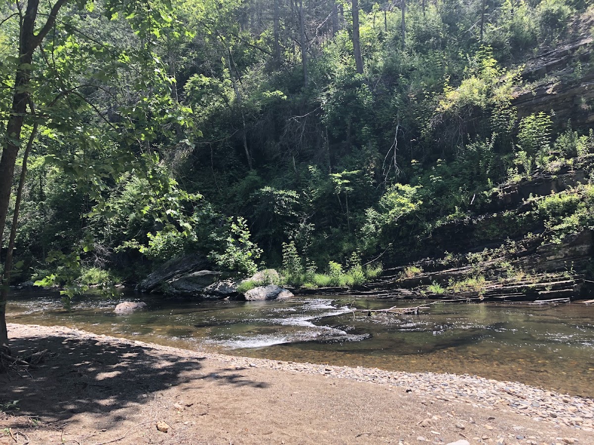 Conasauga River Trail
