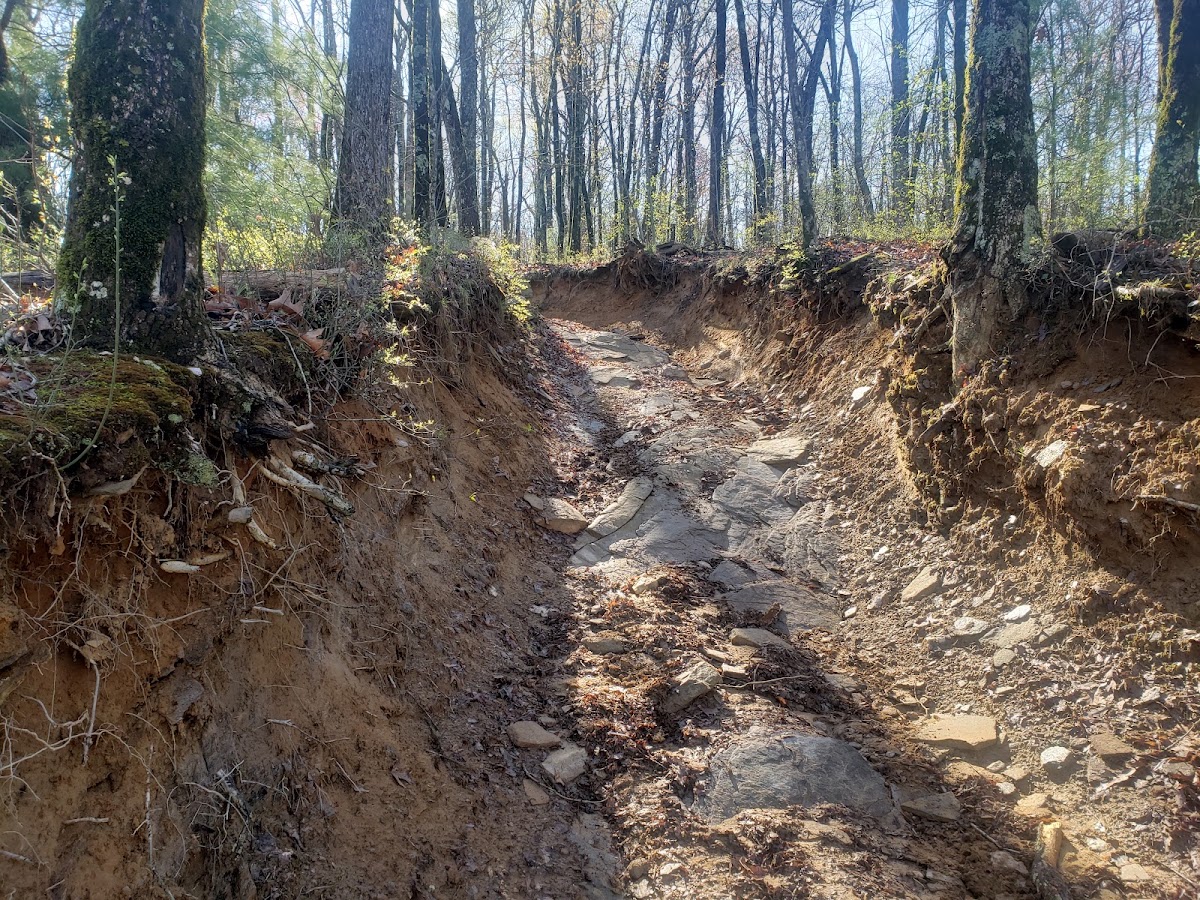 Oakey Mountain OHV Trail