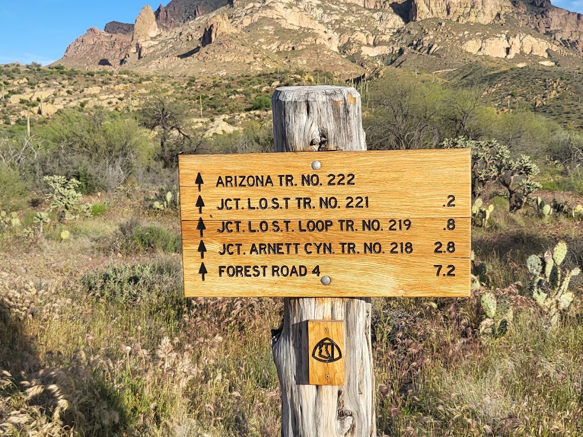Arizona Trail/Saddle Ridge Trail #14