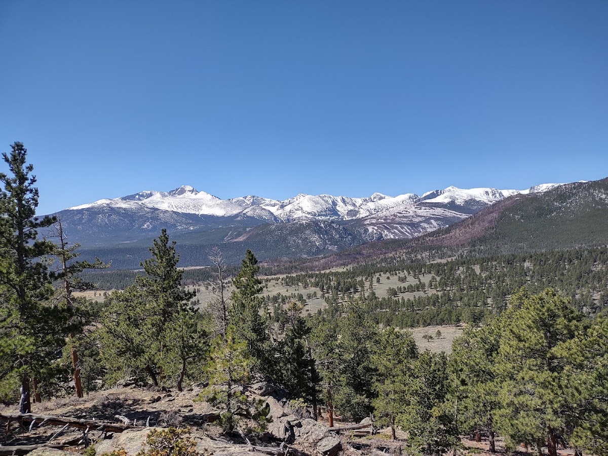 Deer Mountain Trail