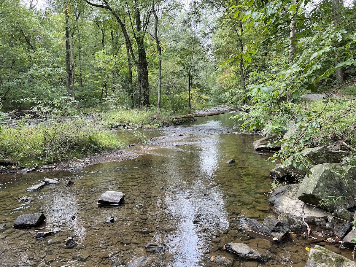 West Branch Brandywine Creek
