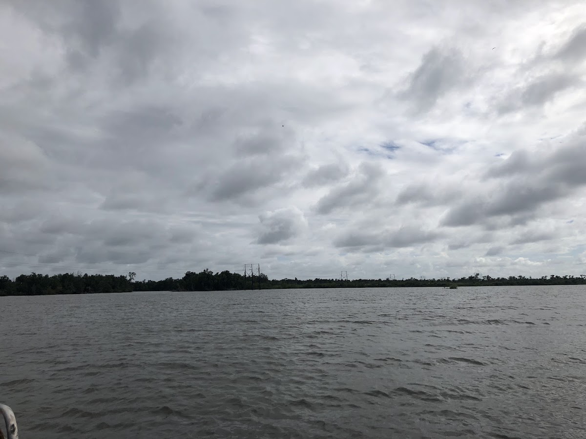 Lake Salvador