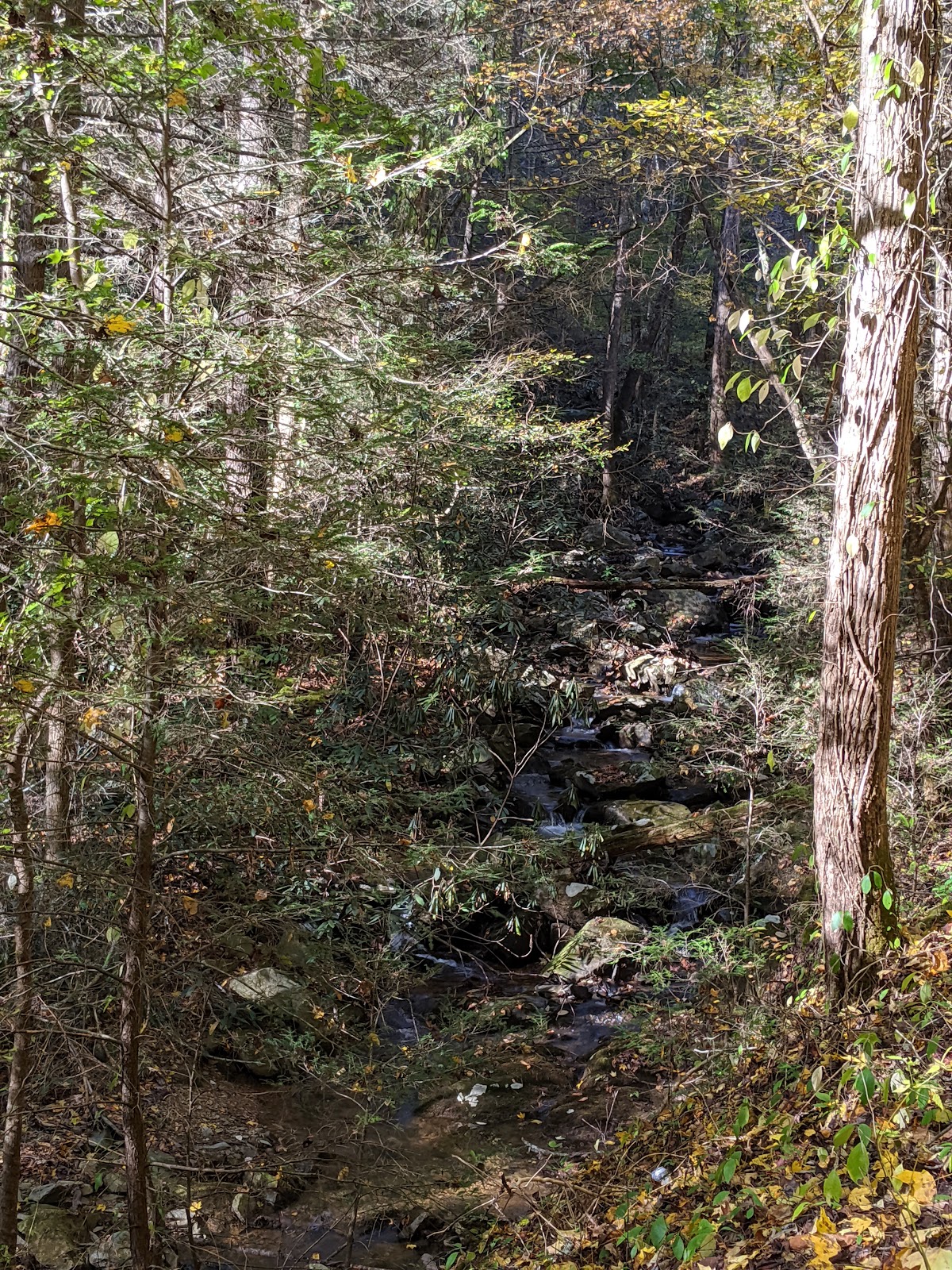 Jacks River