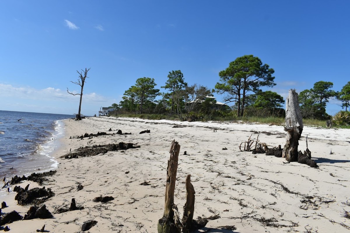 Bald Point State Park