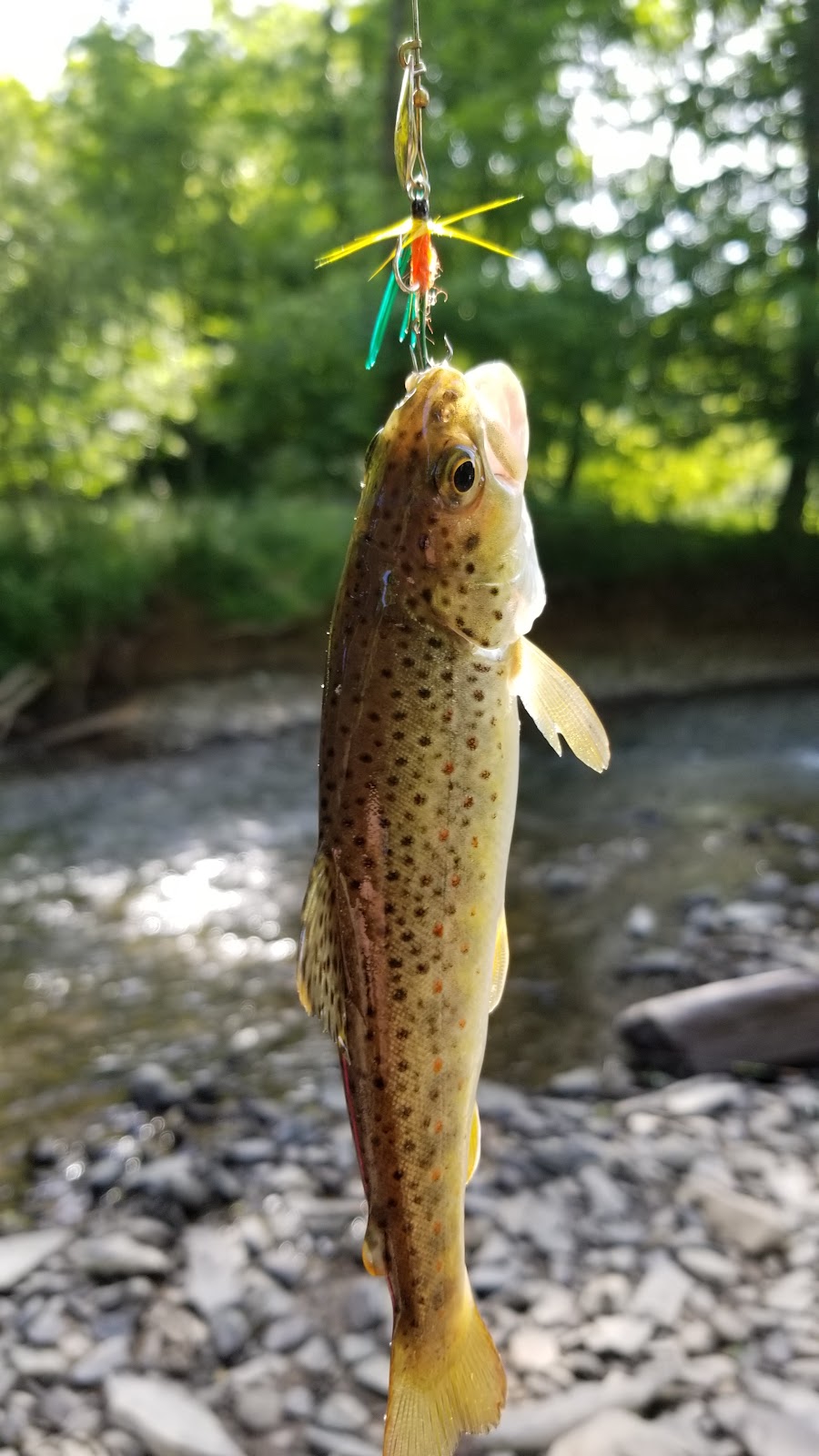 Muncy Creek