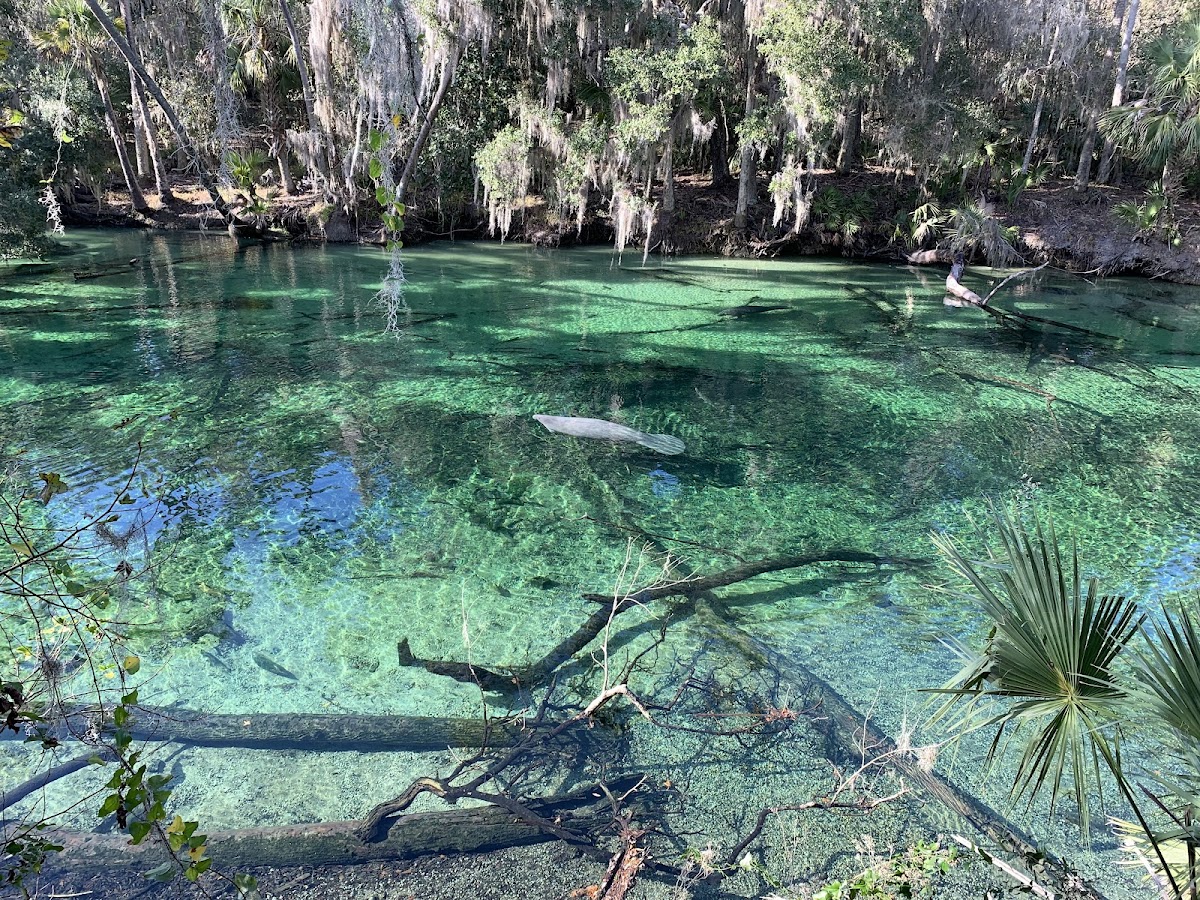 Blue Spring State Park
