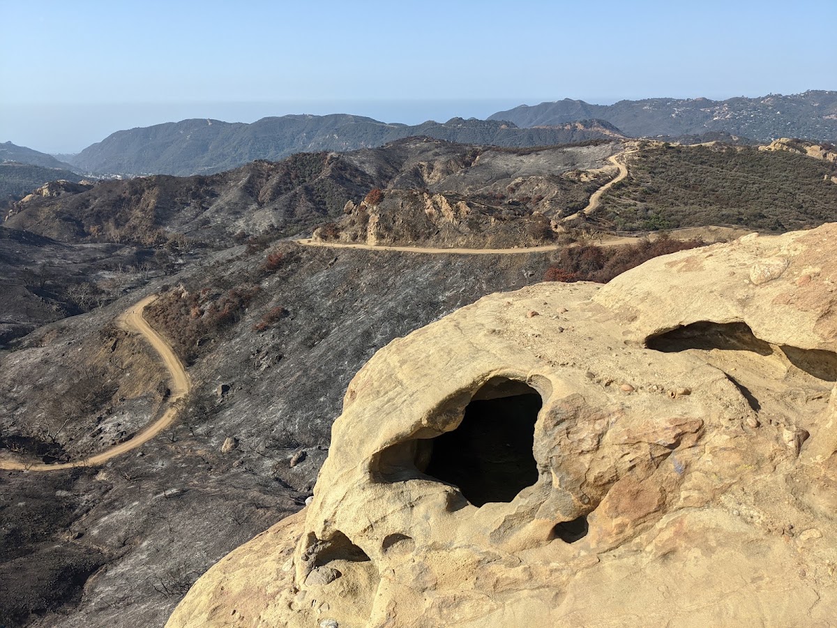 Eagle Rock Fire Road (Backbone Trail)
