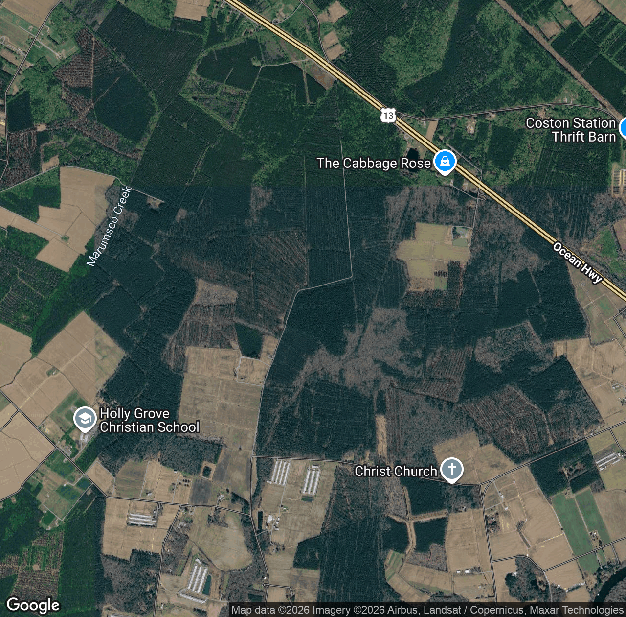 Chesapeake Forest