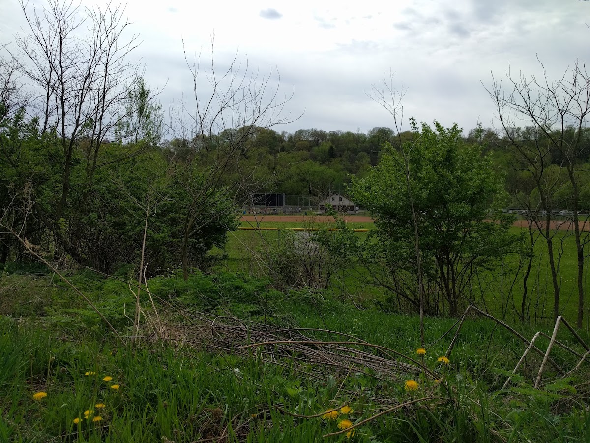 Chartiers Creek