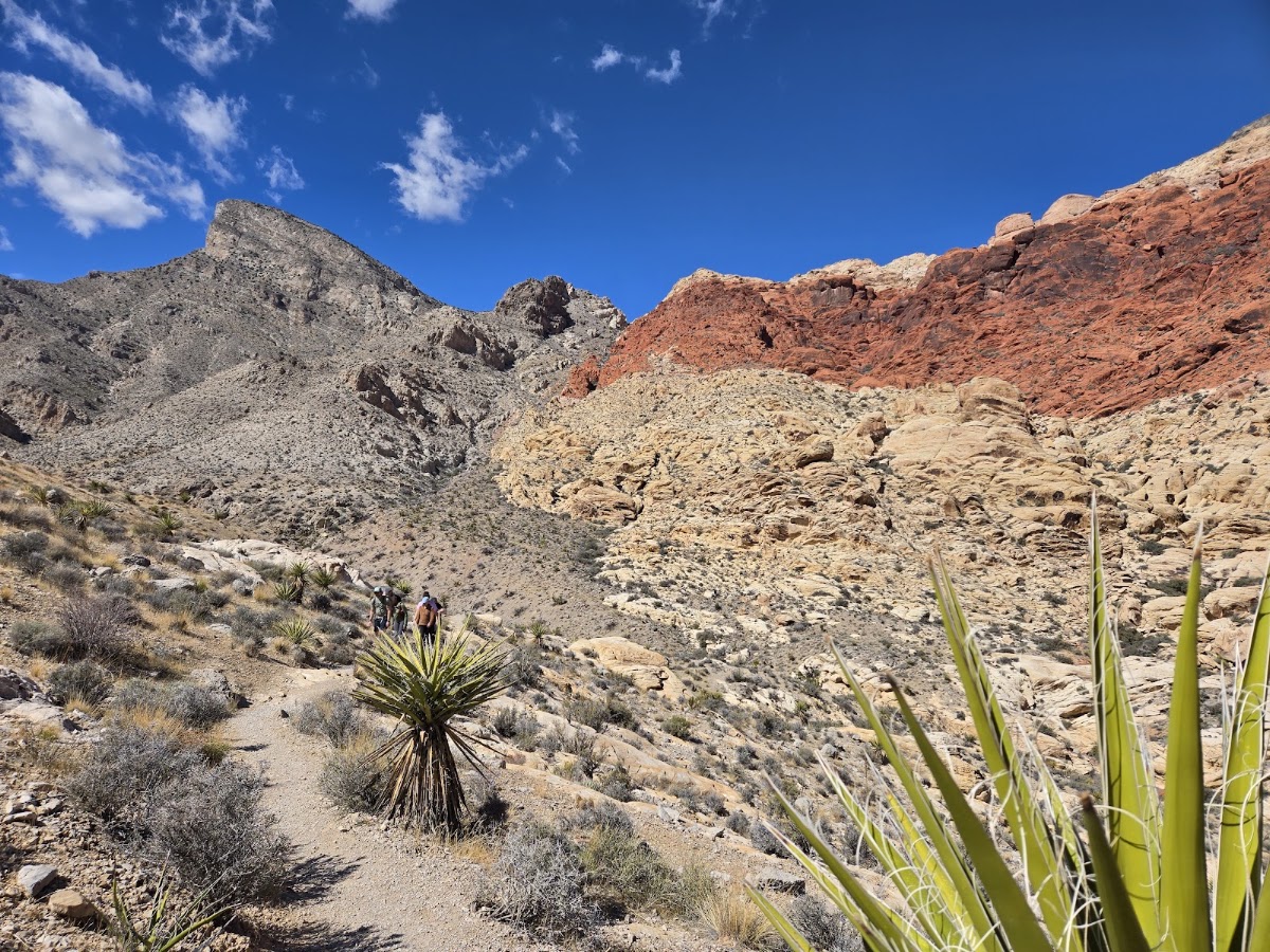Kraft Mountain Loop Trail
