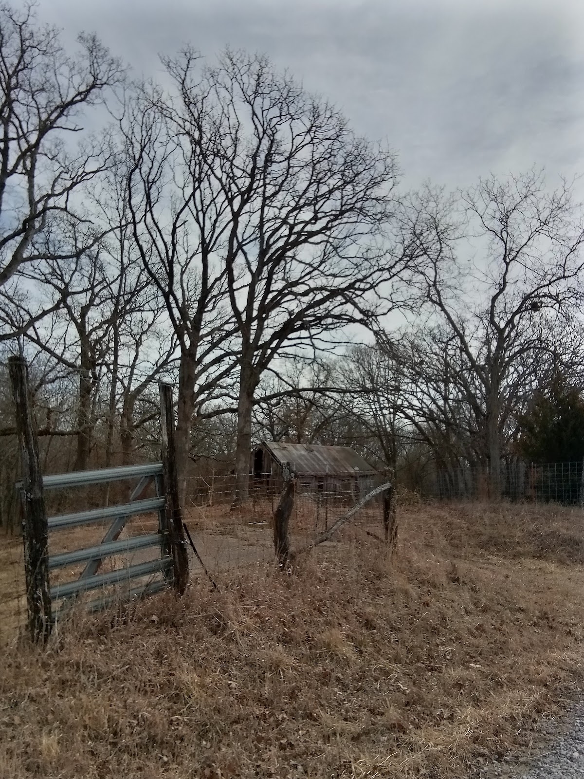 East Yellow Creek