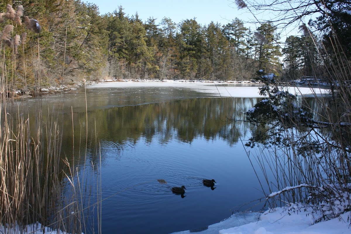 Enos Pond County Park