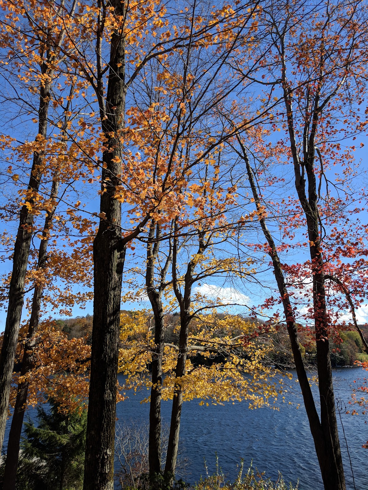 Indian Lake