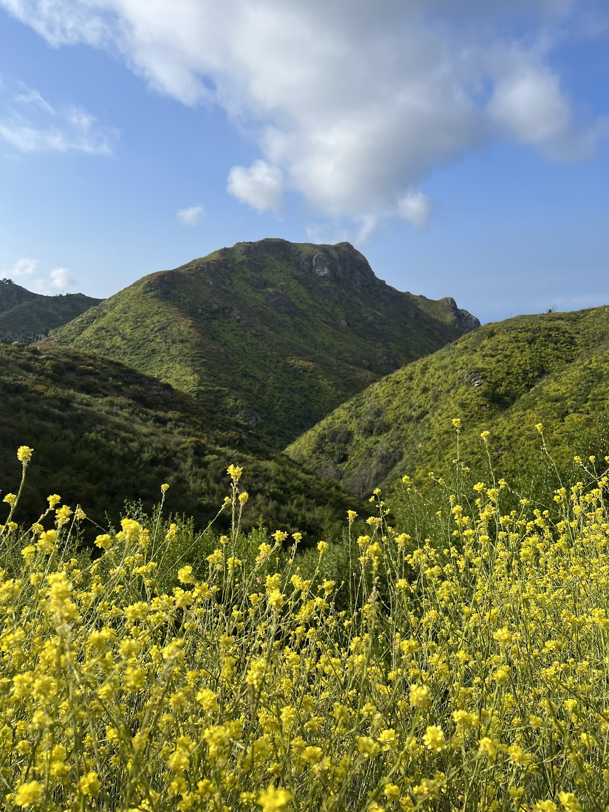 Backbone Trail - Upper Newton Canyon