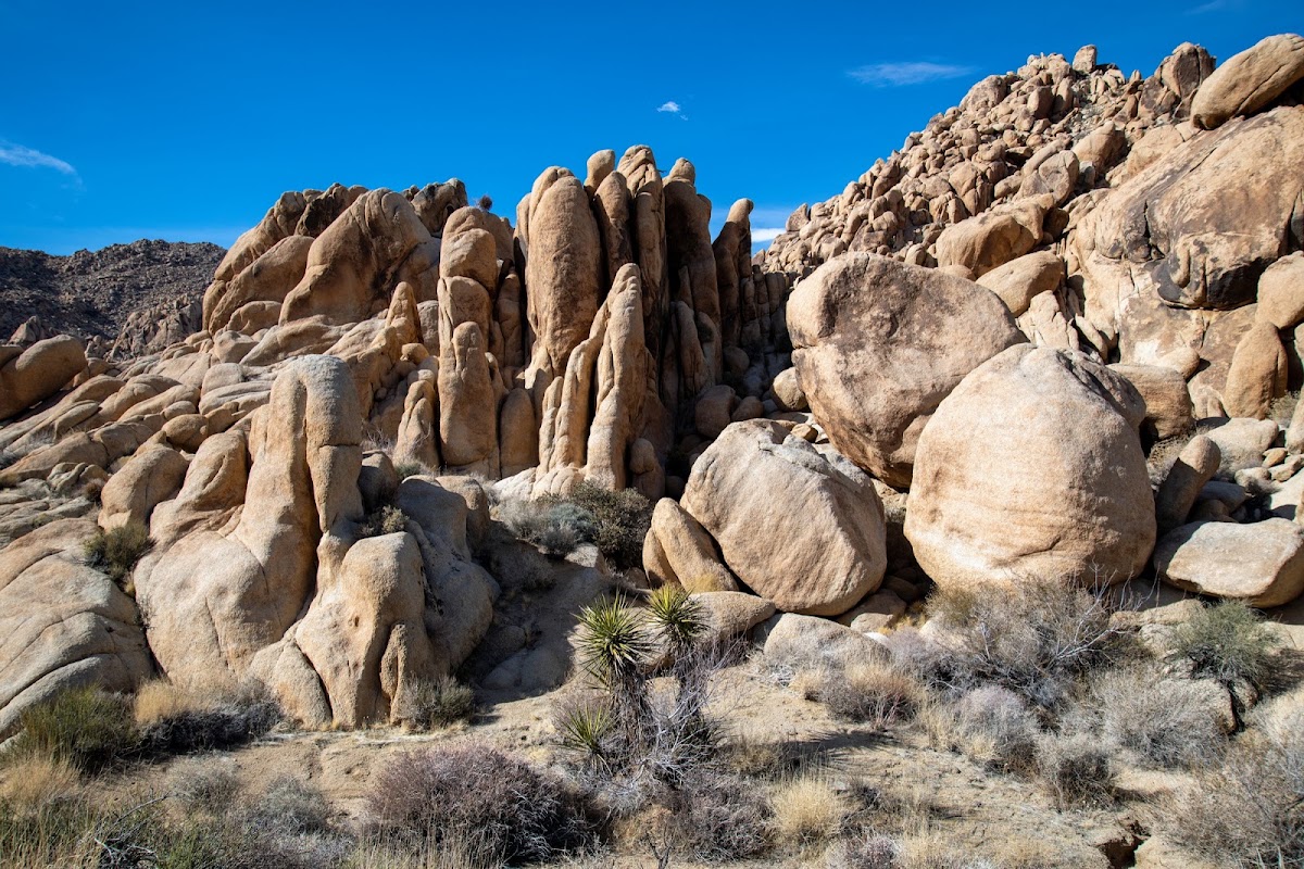 Indian Cove Trail