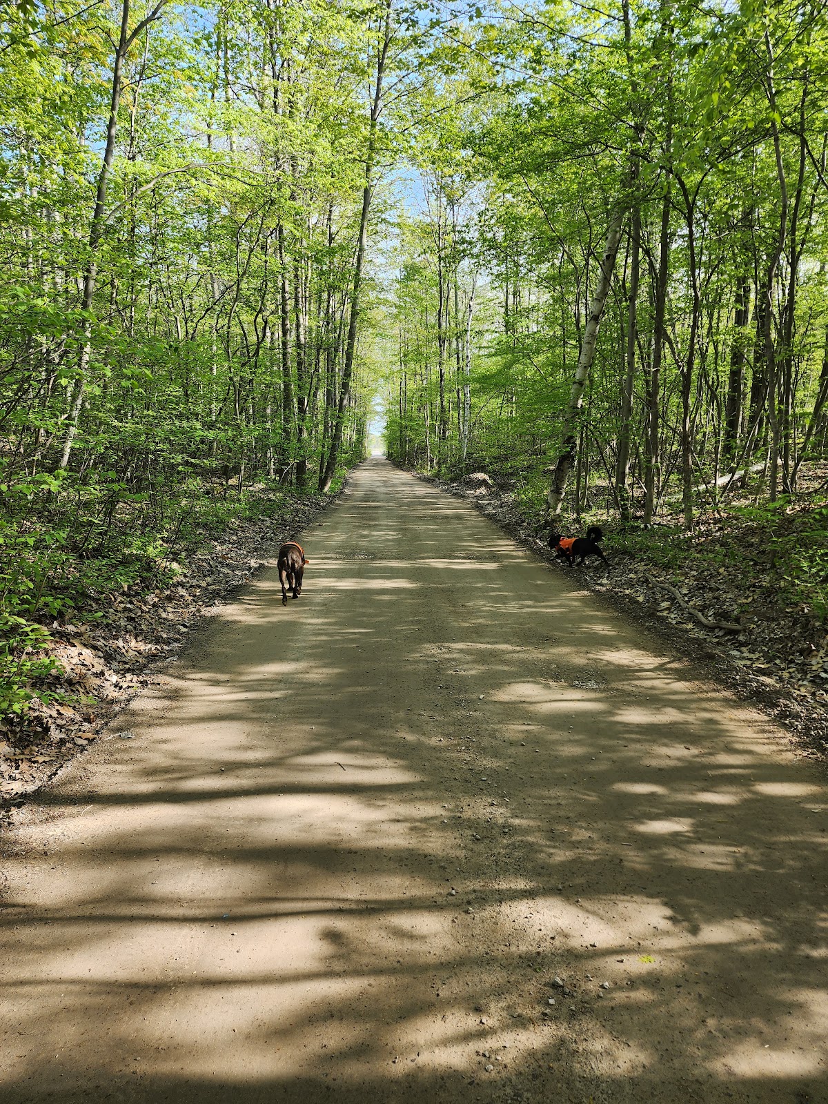 Midland to Mackinaw Trail